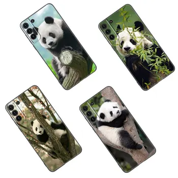 Mielas Gyvūnų Panda Telefono dėklas Samsung Galaxy S22 S23 S20 S21 Ultra FE S10 S10E Lite S8 S9 Plus S7 S6 Krašto Minkštas Juodas Viršelis